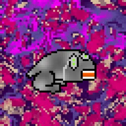 626