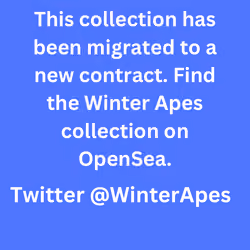 Winter Apes