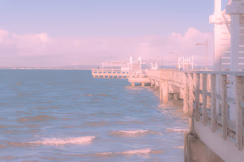 Drop Bear Visuals Base 1/1's