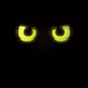 Pre-reveal Cat