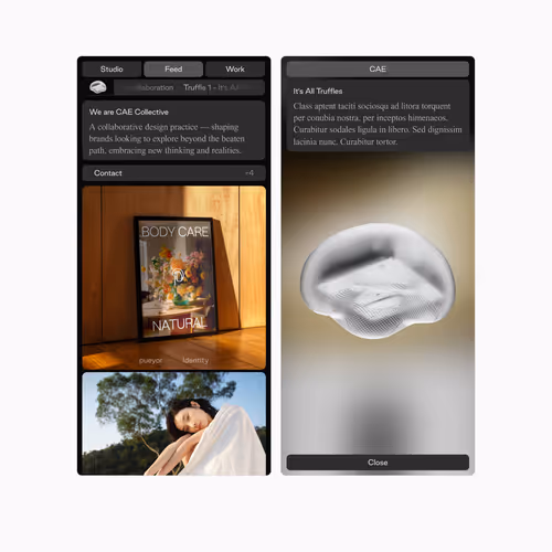 Item #182836 Media