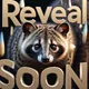 The Civet