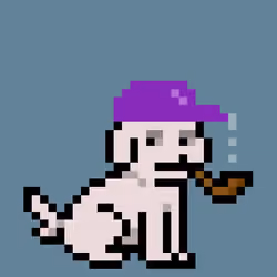 Vibe dog #22