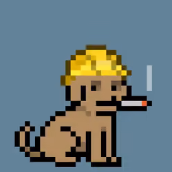 Vibe dog #24