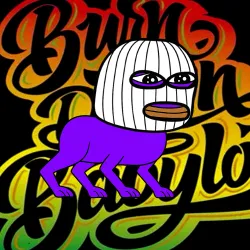 66