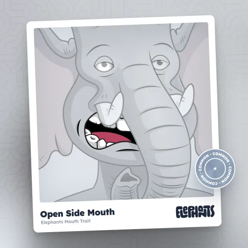 Elephants Attributes