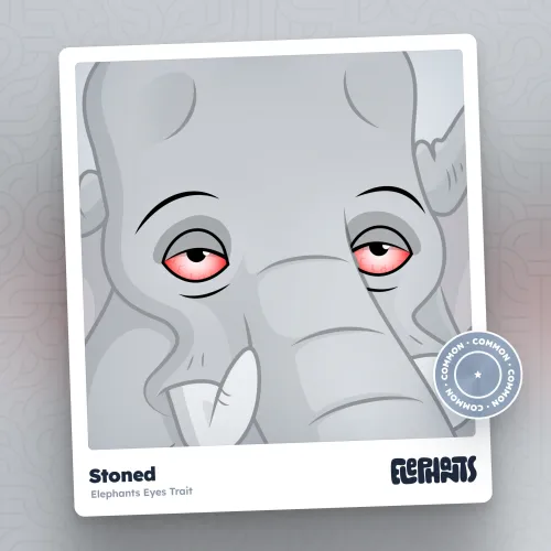 Elephants Attributes