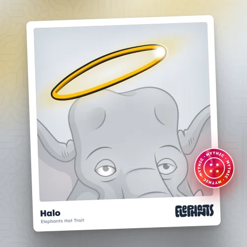 Elephants Attributes