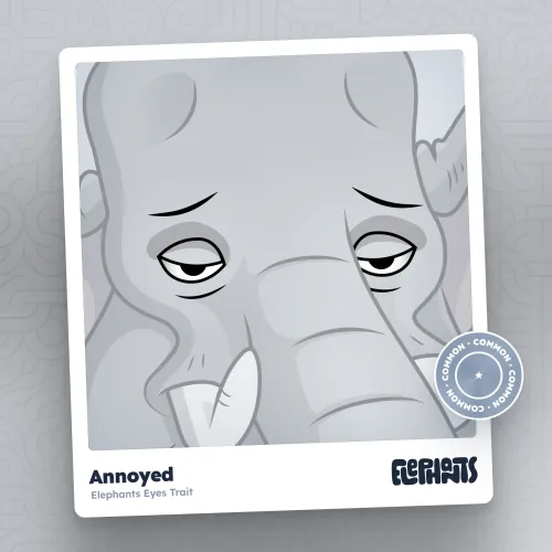 Elephants Attributes