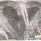 0xbf6327b2114b725043063477302188365e41a633