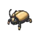 Proto-Insectes