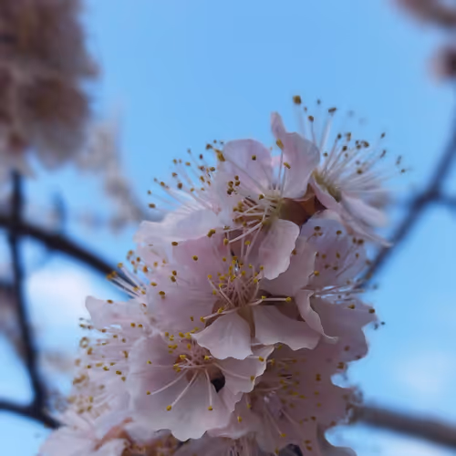 Photography Moment 12