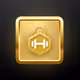 Golden Cube Founders Badge