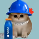 3237