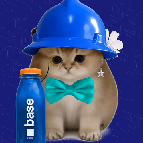 Basecats #9510