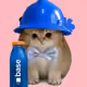 5277