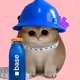 5939