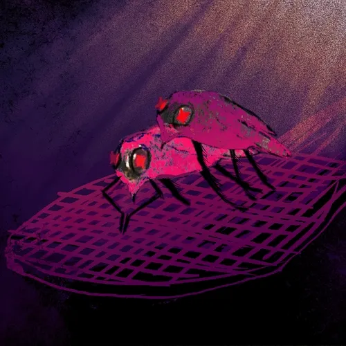 Base editions by k̶i̶l̶l̶strike