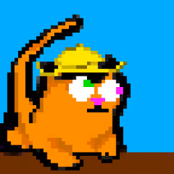 Crazy Kitty #15