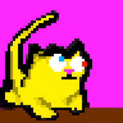Crazy Kitty #17