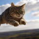 Flying cat #1