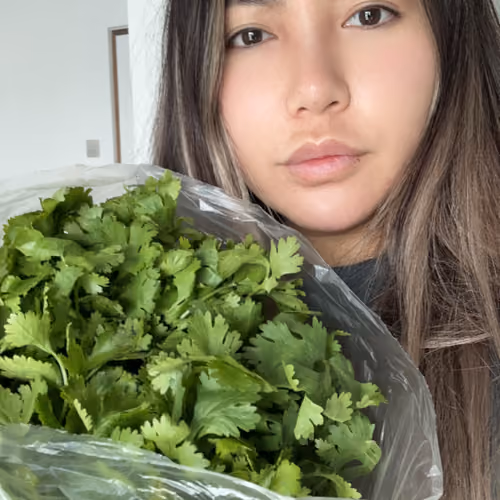 Frank Cilantro #516