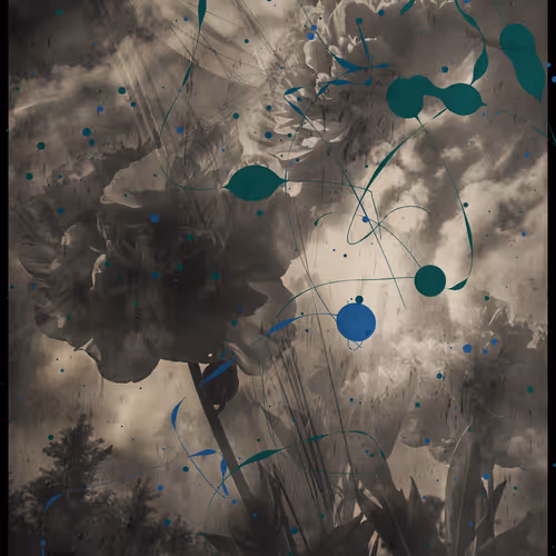 #456