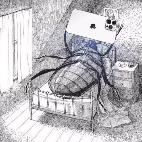 Internet 23