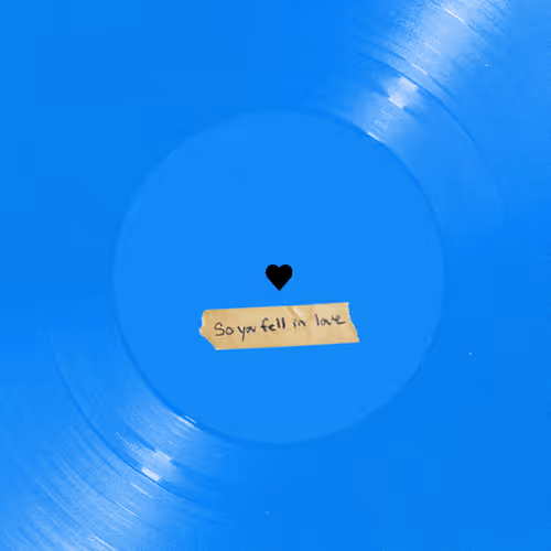 Felly So You Fell In Love