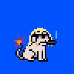 PUPZ #66