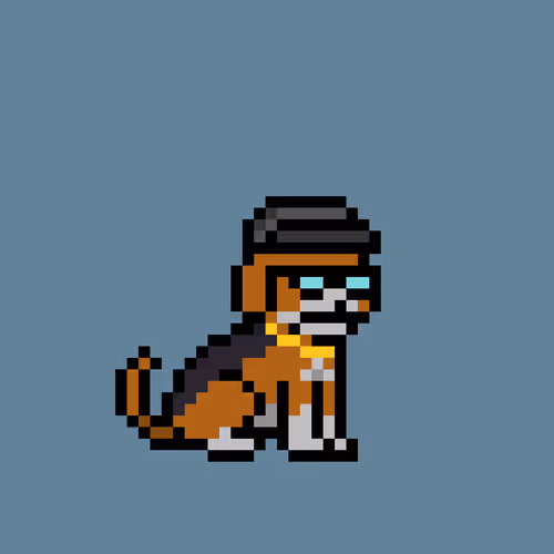 Cryptopupznfts