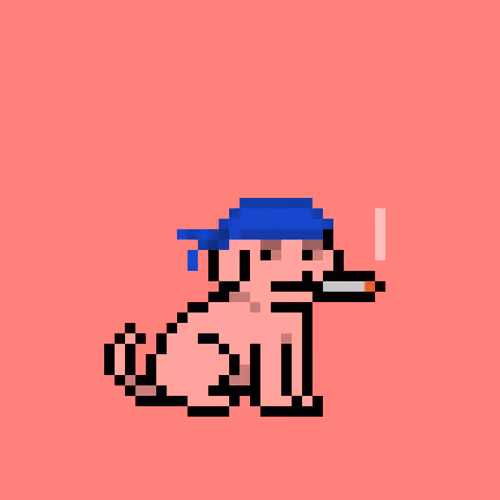 Cryptopupznfts