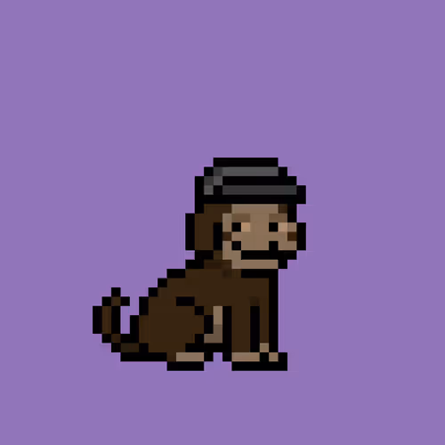 Cryptopupznfts