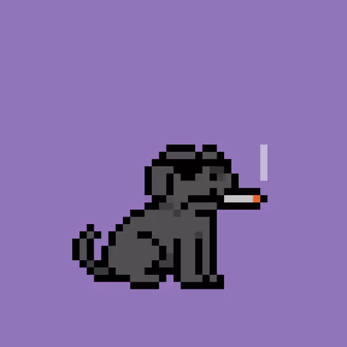 Cryptopupznfts