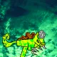 Rugged Stickhorse #360