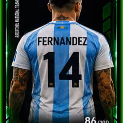 Fernandez (4/4)