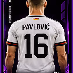 Pavlović (1/4)