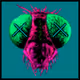 Numeric Flies