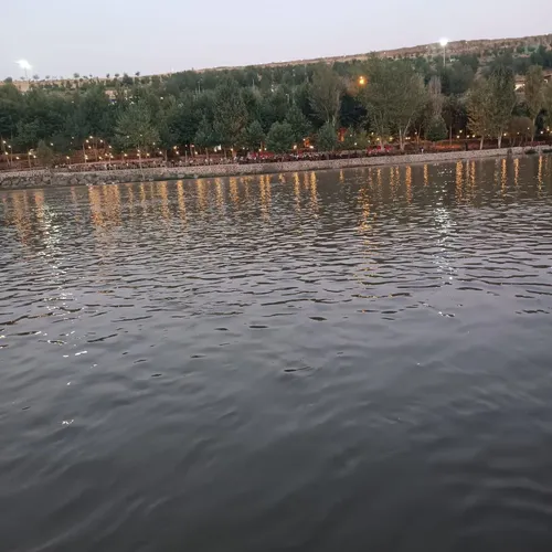 Dicle