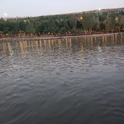 380