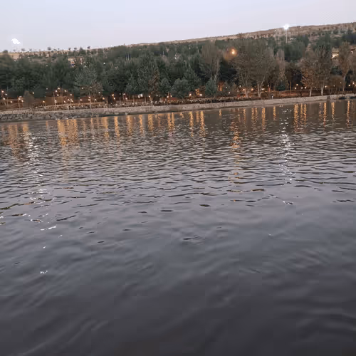 Dicle #519