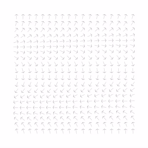 Higher Rotating Arrows Plot