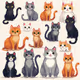 Meows 