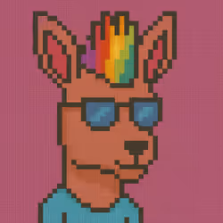 Kangaroo Punks