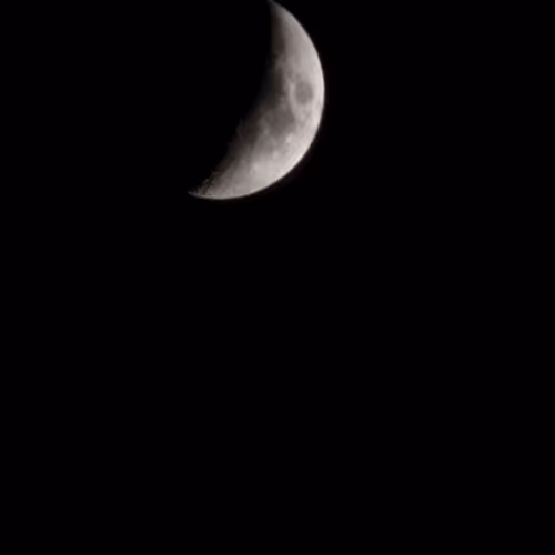 June Moon