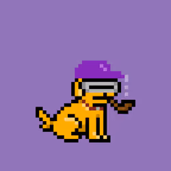 PUPZ