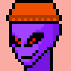 585