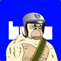 6569