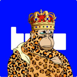 6567