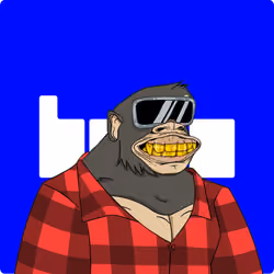 6576